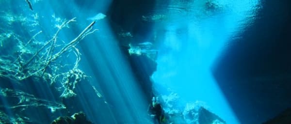 5-Hour Snorkeling Tour in Playa del Carmen with Cenote Cavern Diving