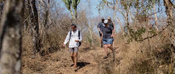 5-Hour Blue Agave Trail Hike from Mazatlán with Distillery Tasting