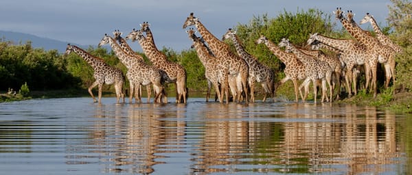 5-Day Selous Wildlife Safari in Tanzania with Rufiji River Boat Safari