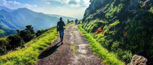 8-Day Sri Lanka Nature and Wildlife Tour with Ella Train Ride