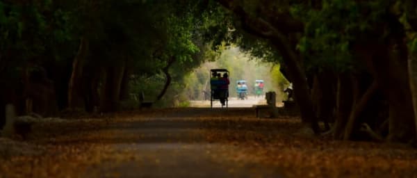 2-Day Bharatpur Bird Sanctuary Tour from Delhi with Deeg Palace