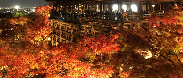Visite de 7 heures à Kyoto avec Fushimi Inari et Kinkaku-ji