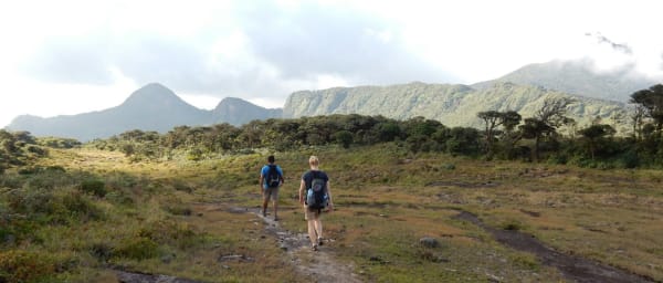 1-Day Knuckles Mountain Trek from Kandy with Waterfall Picnic Lunch
