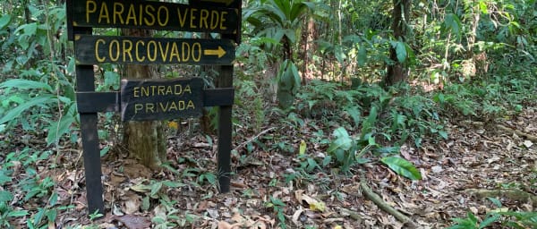 6-Hour Paraiso Verde Forest Excursion in Corcovado National Park