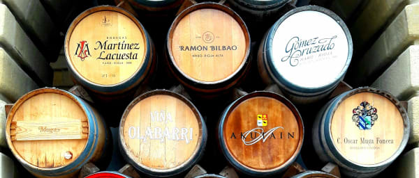 9-Hour Rioja Wine Tour with Cave Cellars and Marqués de Riscal