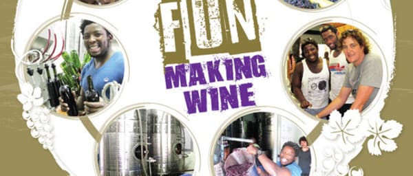 1-Day Wine Making and Tasting Tour in Cape Town with a Winemaker