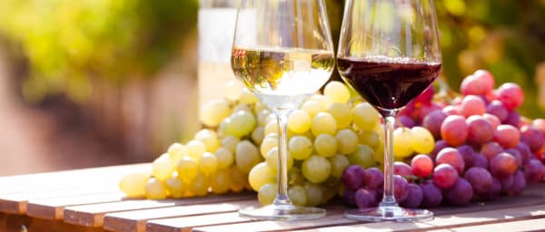 Full-Day Wine Tasting Tour in Telavi with Tsinandali and Chacha