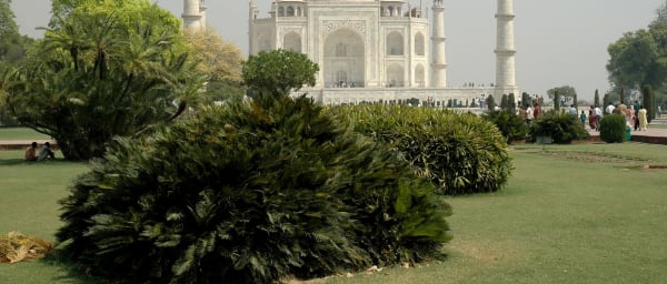 Full-Day Taj Mahal and Agra Fort Tour with Marble Inlay Demo