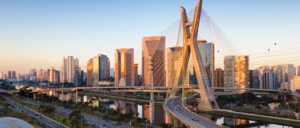 3-Hour São Paulo City Tour with Old Downtown and Ibirapuera