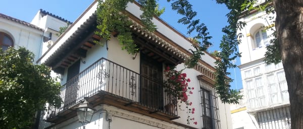 4-Hour Seville Walking Tour with Main Monuments and Local Insight