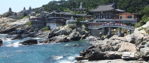 1-Day Busan Highlights Tour with Temples, Markets and Haeundae