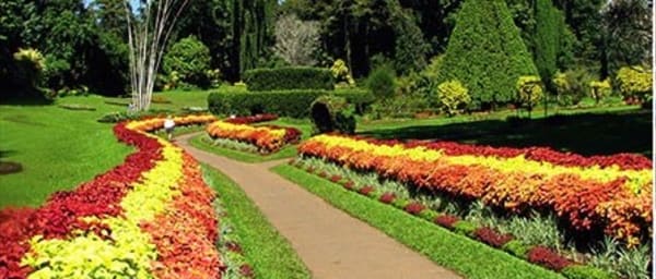 3-Day Nuwara Eliya and Kandy Tour with Tea Country and Horton Plains