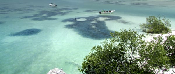 12-Hour Isla Holbox Boat Tour from Cancun with Cenote Yalahau