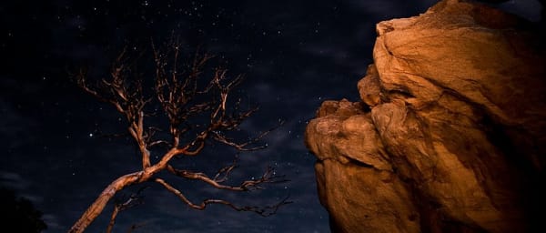4-Day Karoo National Park Photography Tour with Wildlife Viewing