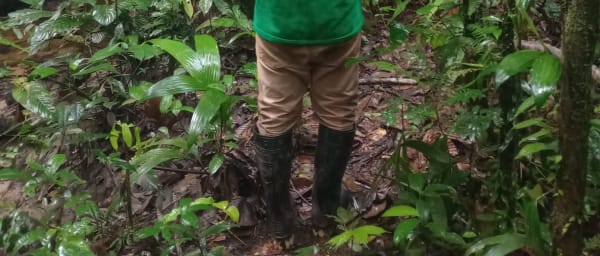 3 Días de Expedición por el Amazonas desde Iquitos con lodge
