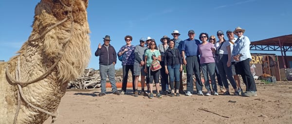 8-Day Western Sahara Tour from Agadir to Dakhla