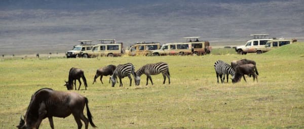 2-Day Lake Manyara and Ngorongoro Crater Safari from Arusha