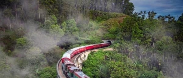 2-Day Nature Tour of Kandy, Nuwara Eliya and Ella with Horton Plains