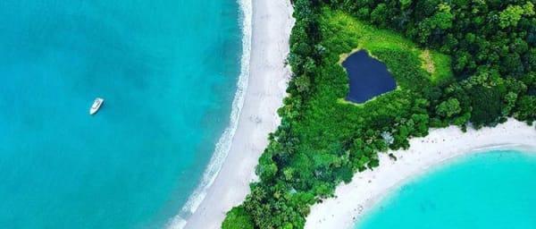 3-Hour Manuel Antonio National Park Tour with Wildlife Spotting