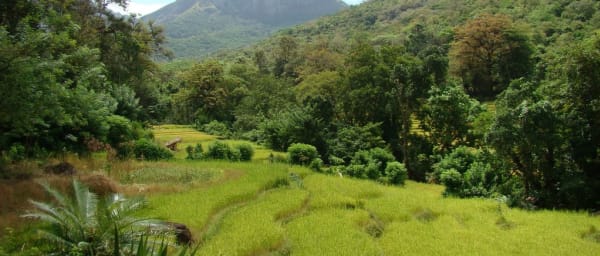 3-Day Meemure Village Tour from Kandy with Camping and Hiking