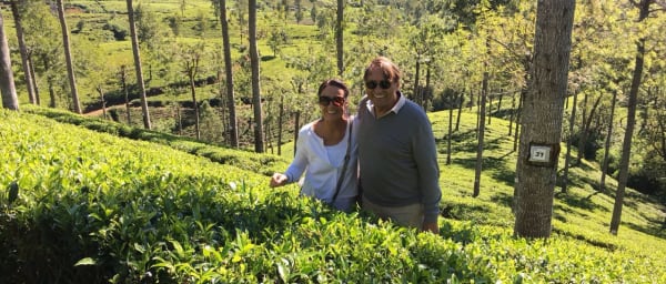 10-Day Sri Lanka Adventure Tour with Sigiriya, Tea Country and Safari