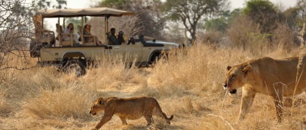 1-Day Ruaha National Park Safari from Iringa with Great Ruaha River