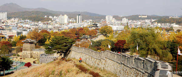 1-Day Suwon Hwaseong and Folk Village Tour from Seoul