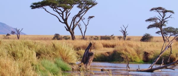 3-Day Serengeti Safari from Arusha with Olduvai Gorge Route