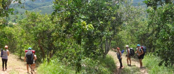 Full-Day Amazon Rainforest Trek in Satipo with Waterfalls