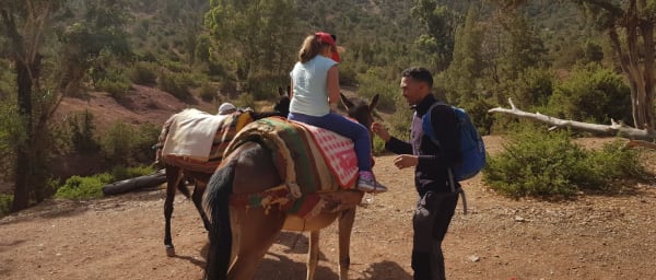 1-Day Ouirgane Valley Trek from Marrakech with Berber Family Lunch