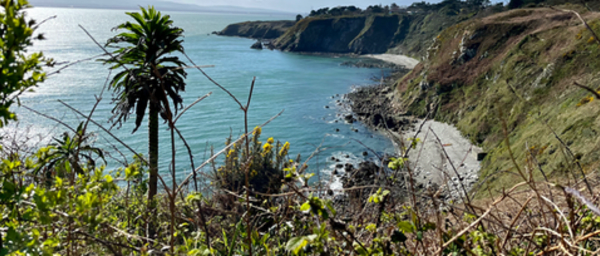 Hike the UNESCO Dublin Bay Biosphere. Dublin. Guided.