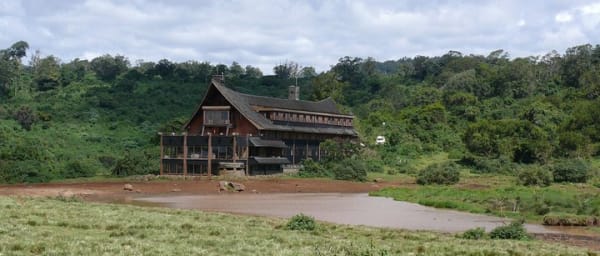 1-Day Aberdare Safari