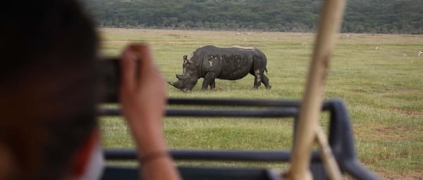 1-Day Lake Nakuru Tour