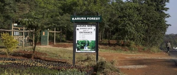 Urban Forest Tour in Nairobi