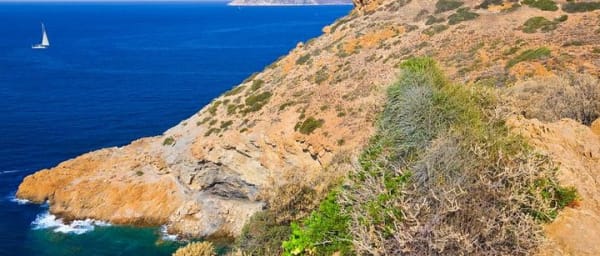 Full Day Athens City tour and Cape Sounio with Lunch
