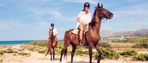 Awaken to Paros: A Scenic Morning Horseback Ride