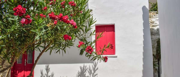 Secret of Skopelos