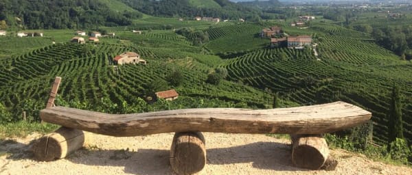 Full Day Wine Tour and Tasting in the Prosecco Region