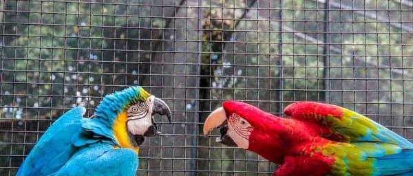 3 Days and 2 Nights 4 Stars Hotel Iguassu Falls - Private Tours