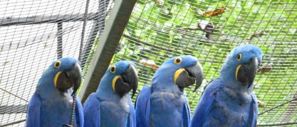 4 Days and 3 Nights 3 Stars Hotel Iguassu Falls - Private Tours