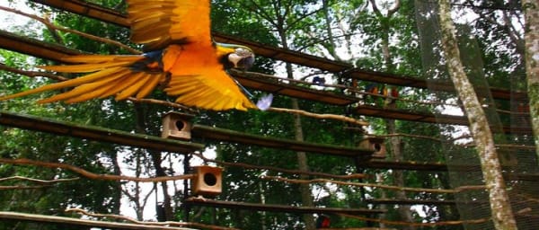 3 Days and 2 Nights 3 Stars Hotel Iguassu Falls - Private Tours