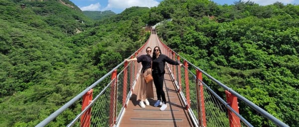 Full day Customizable Private DMZ Tour with Famous Local food