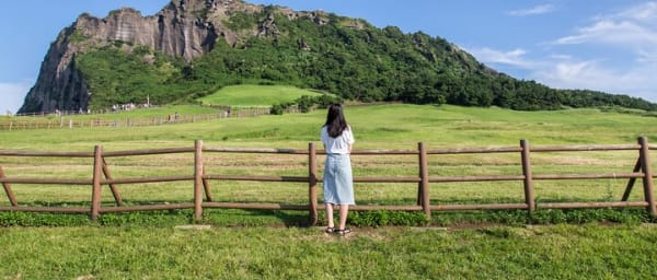Full-day Customizable Private Jeju Island Tour