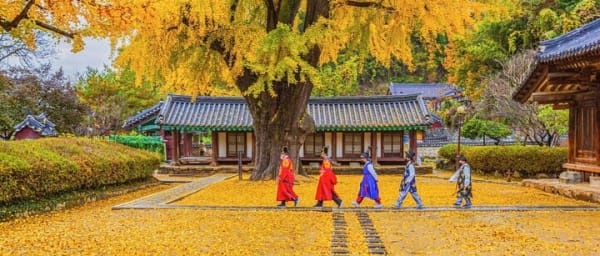 Private Jeonju Hanok Village - Culinary tour