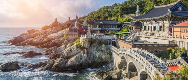 Cruise Layover : Small Group Busan Highlight Day Tour