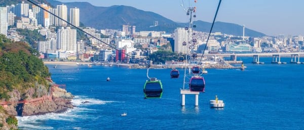 Private Busan Tour with hidden gem of Busan by Local Guide