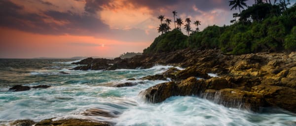 CEYLON BEACH & SAFARI EXPERIENCE