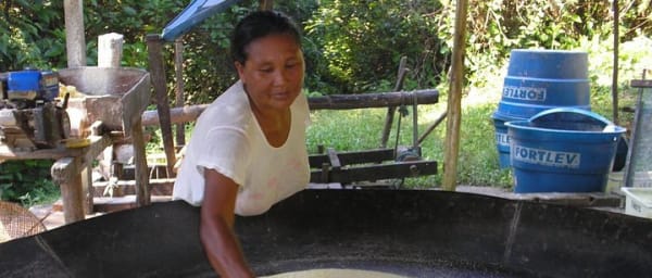 Amazon Jungle Experience – 2 Days / 1 Night