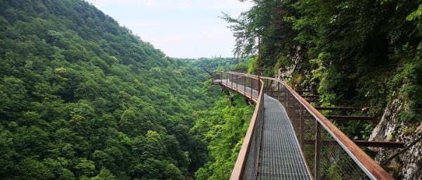 Georgia Tour Package 5 Days