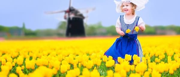 Delft and Keukenhof Gardens Tour from Brussels